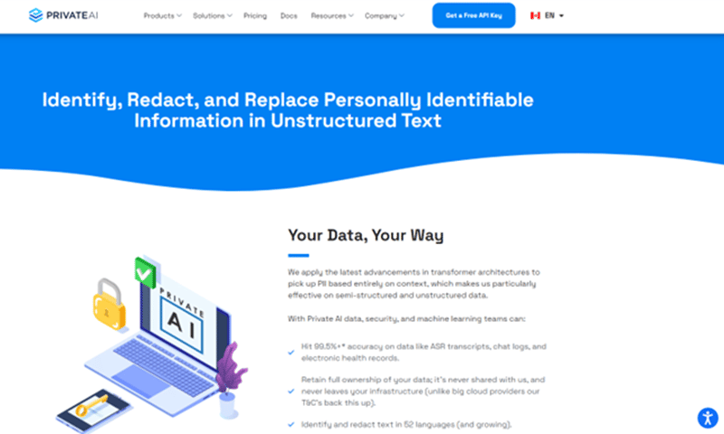 Pii Redaction Models Apis For Data Privacy